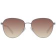 Unisex Sunglasses Guess GU8257 5310F Ø 53 mm Cheap