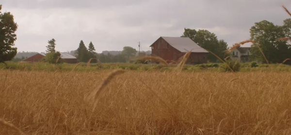 Grand Traverse Distillery Ole George Straight Rye Sale